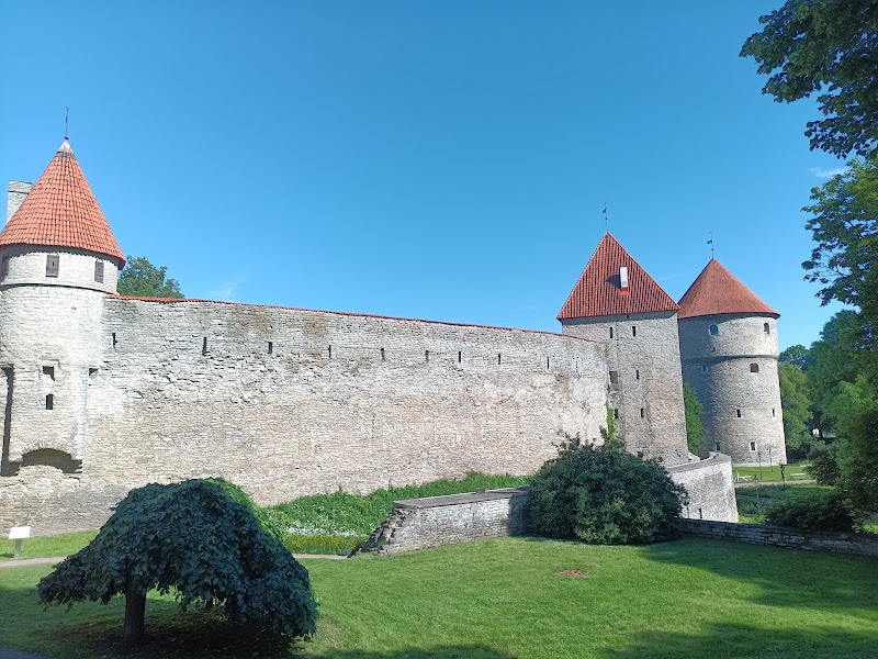 Kiek in de Kök Fortification Museum - Kiek in de Kök Fortification Museum Komandandi tee 2, 10130 Tallinn, Estonia