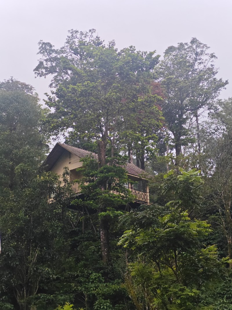 Coffee Garden Resort - Coffee Garden Resort NH 275, coorg, Madikeri, Katakeri, Karnataka 571201, India