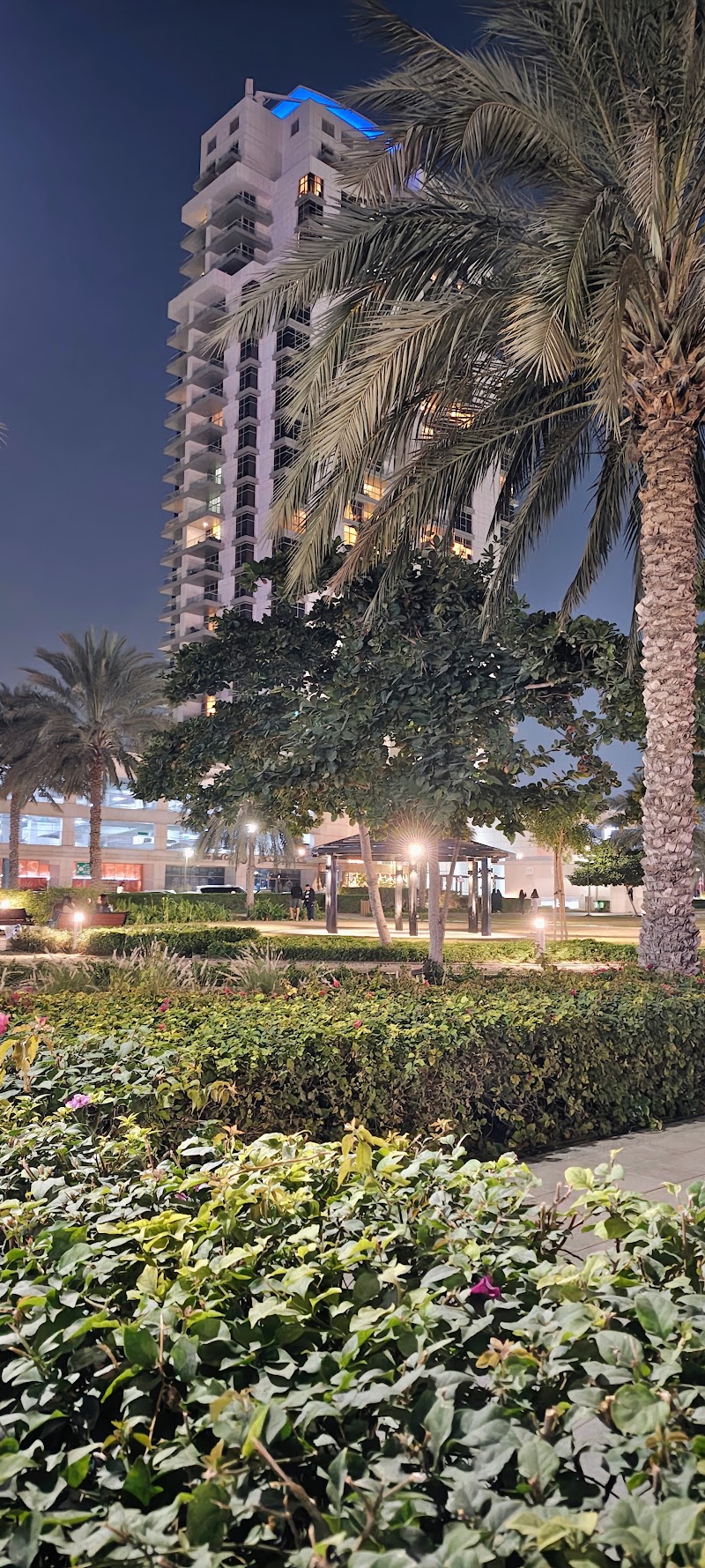 DSO Tower 7 - DSO Tower 7 7 Towers Complex - Tower 1 - Nadd Hessa - Dubai Silicon Oasis - Dubai - United Arab Emirates