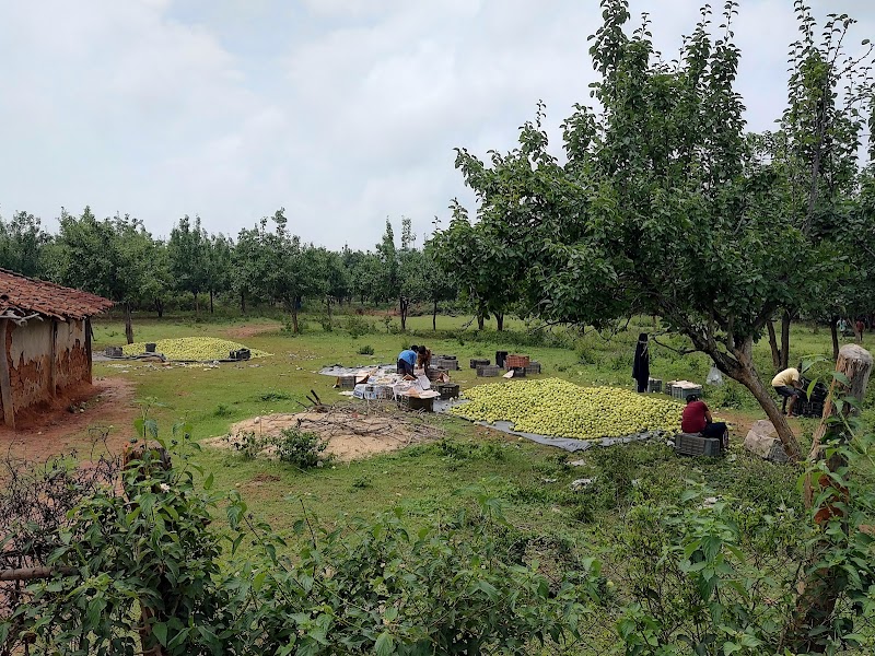 Naspati garden - Naspati garden F7W6+WW5, near upperr ghagri, Netarhat, Jharkhand 835218, India