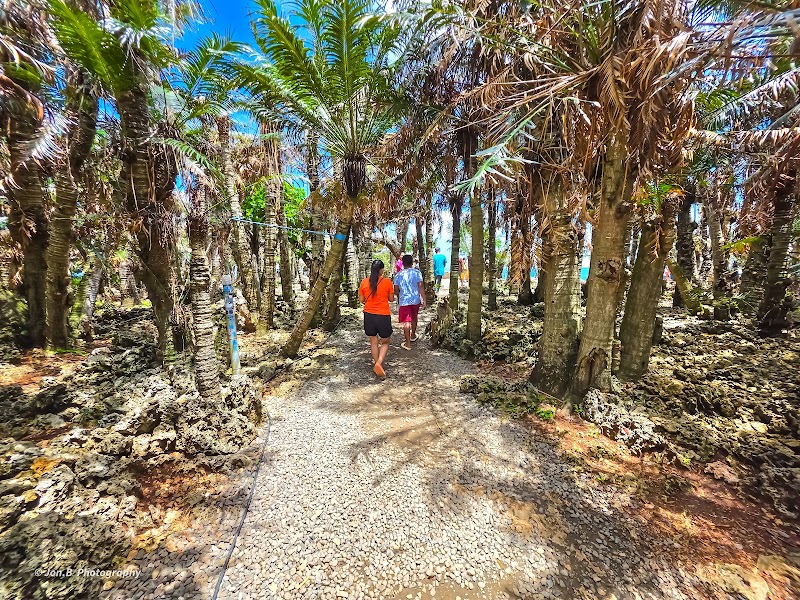 Pitogo Cliff Nature Park - Pitogo Cliff Nature Park, San Juan, Siquijor, Philippines
