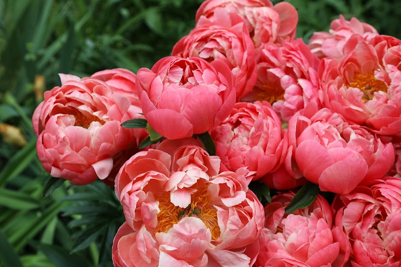 The Savill Garden
