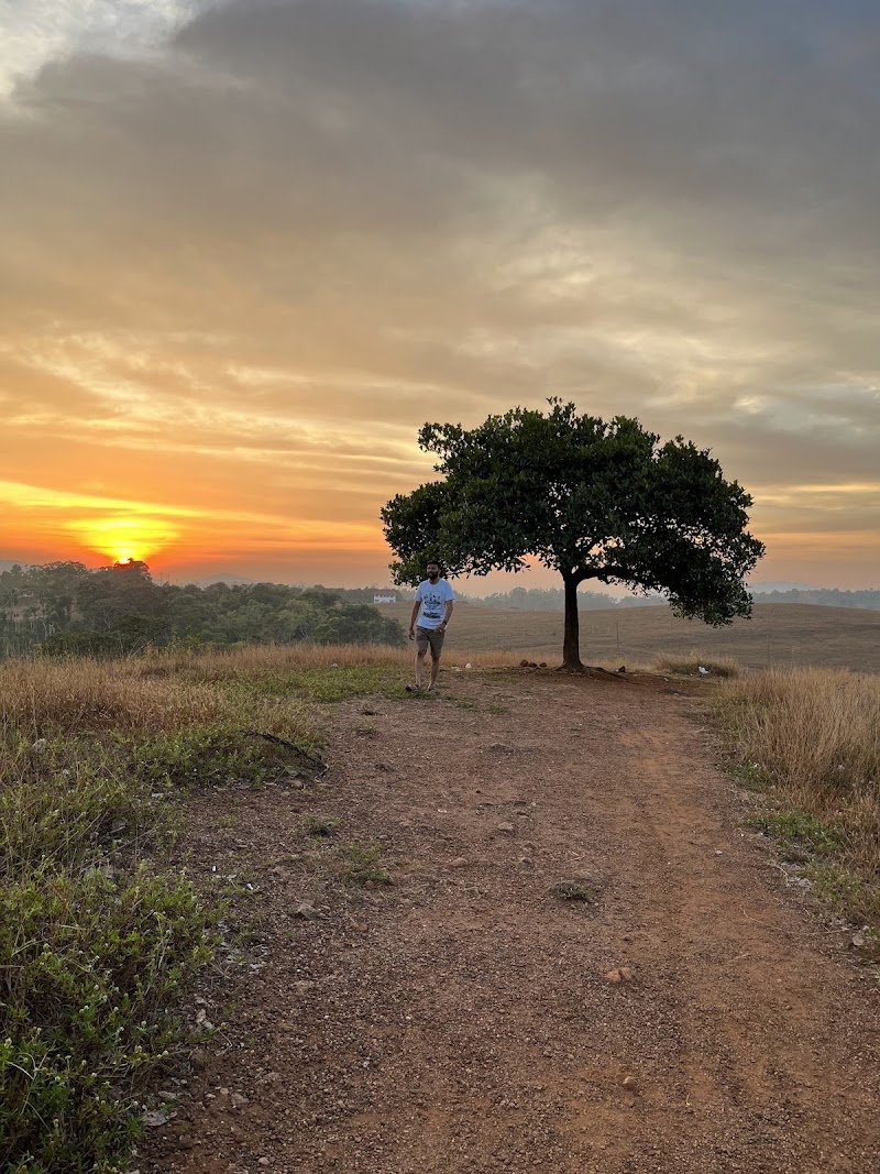 Heththur’s Green Meadows - Heththur’s Green Meadows QQJM+HX5, Hadya, Karnataka 573123, India