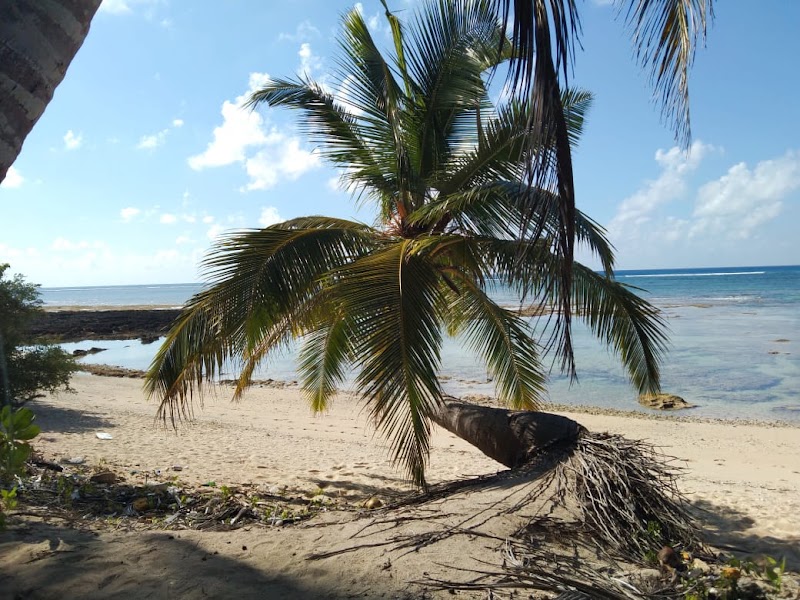 Royal Neil Resort - Royal Neil Resort, Ramnagar Shaheed Dweep (Neil Island, Ram Nagar, Andaman and Nicobar Islands 744104, India