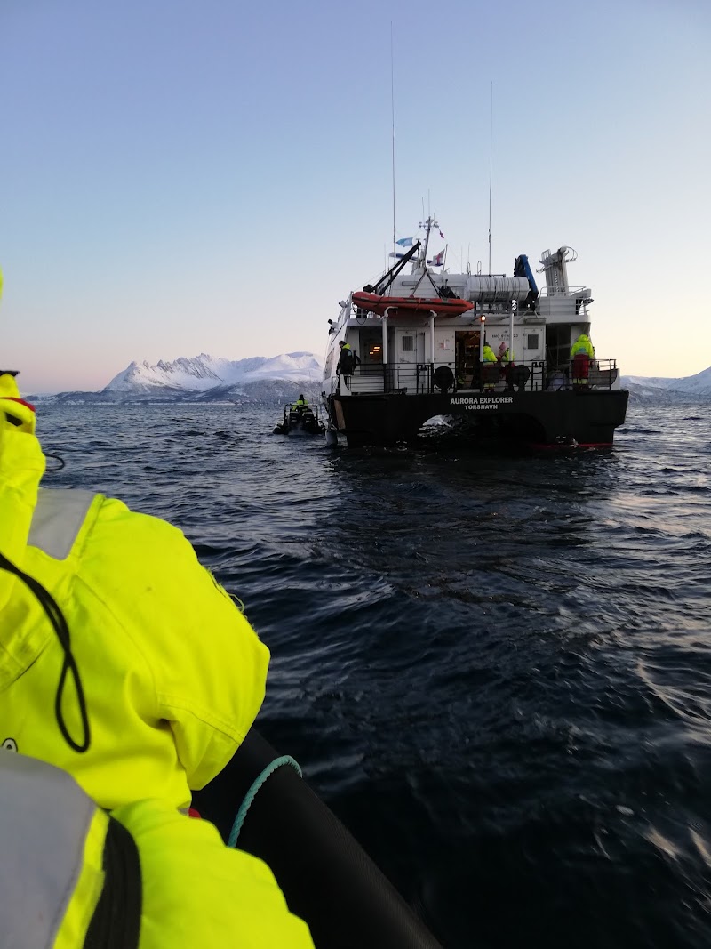 Arctic Explorer AS - Arctic Explorer AS Søndre Tollbodgate 3, 9008 Tromsø, Norway
