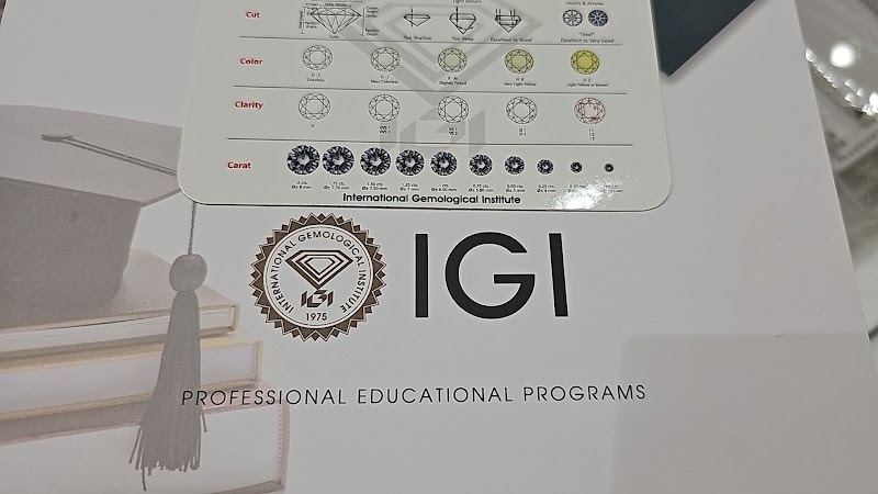International Gemological Institute (IGI) - New Delhi - International Gemological Institute (IGI) - New Delhi, Keltron Chambers, 04th Floor, Arya Samaj Rd, Block 18, WEA, Karol Bagh, New Delhi, Delhi, 110005, India
