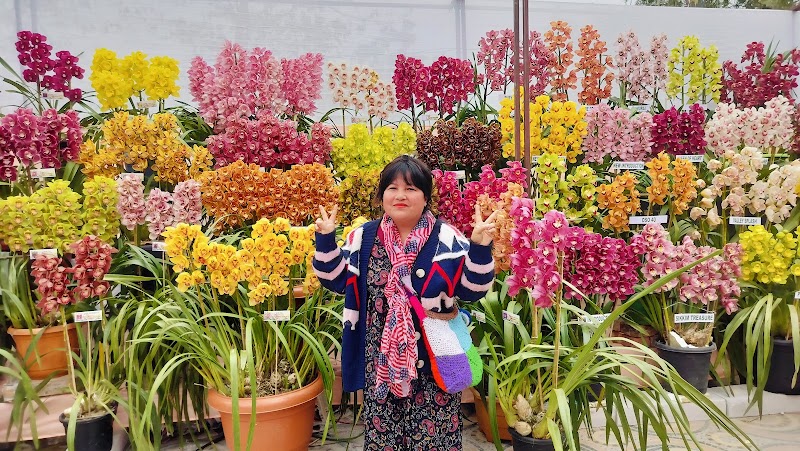 ICAR - National Research Centre for Orchids - ICAR - National Research Centre for Orchids 6HJR+H3V, Dikling Rd, Pakyong, Sikkim 737106, India