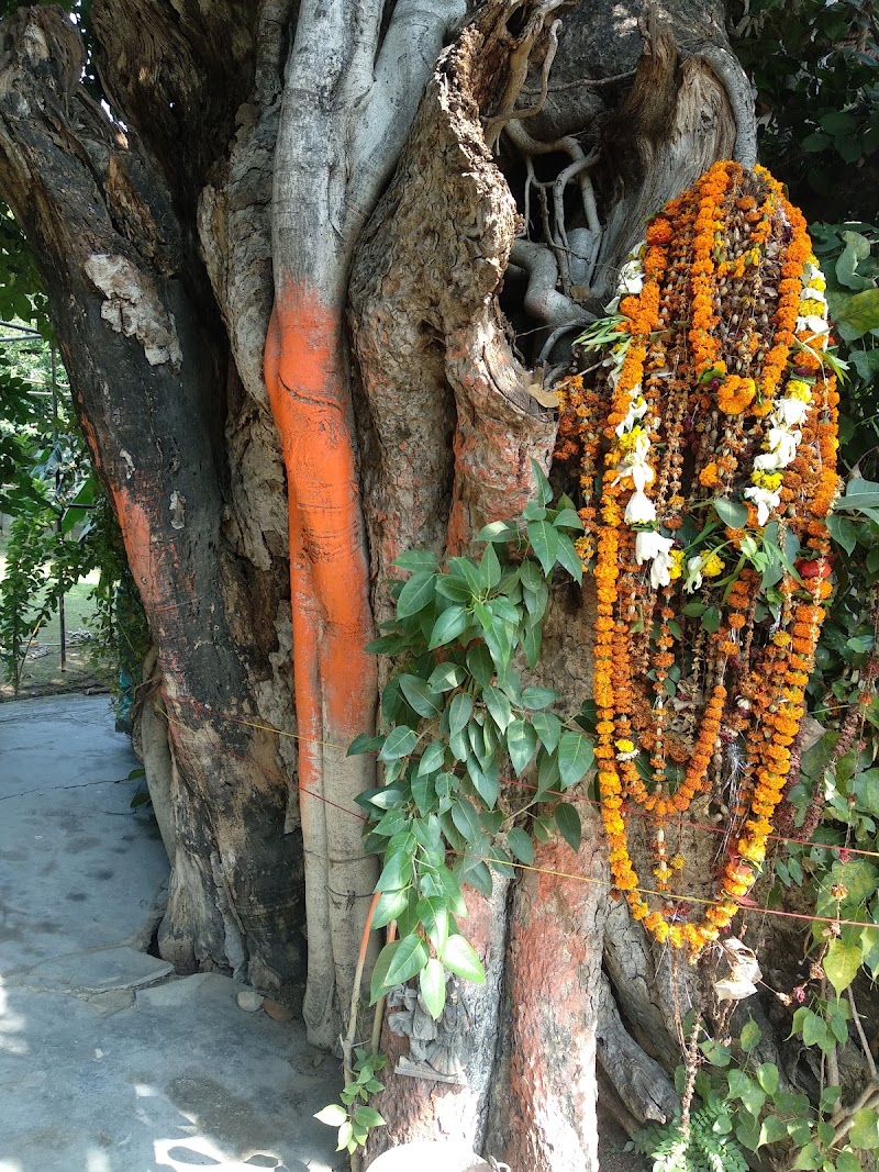 Akrur Ji Mandir, Vrindavan - Akrur Ji Mandir, Vrindavan, Shri Akrur Mandir, Radha Vallabh Temple Rd, Shri Radha Puram, Vatsalya Gram, Vrindavan, Uttar Pradesh 281121, India