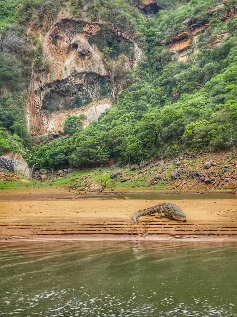 Blyde Canyon Safaris - Blyde Canyon Safaris, Byderivierpoort Dam, 1380, South Africa