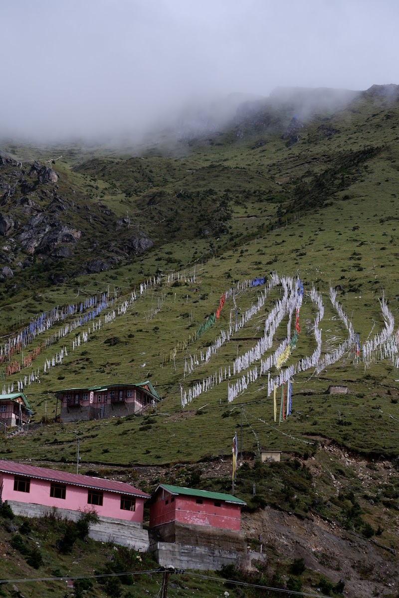Tag Along Trips - Tag Along Trips Tag Along Backpackers, Development Area, beside Punjab & Sindh Bank, Gangtok, Sikkim 737101, India
