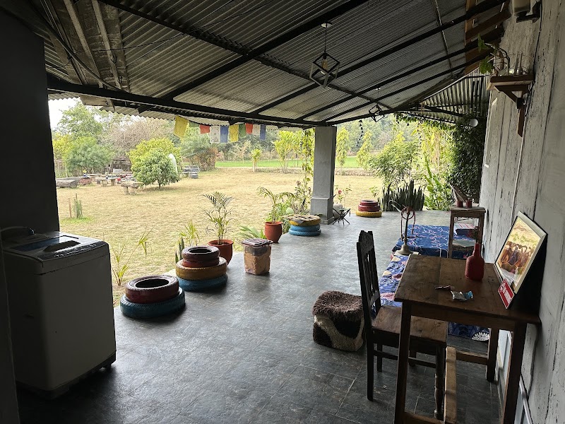 Dreamwoods - Dreamwoods, tea estate jhikkar, Gharoh, Dharamshala, Jhikkar, Himachal Pradesh 176217, India
