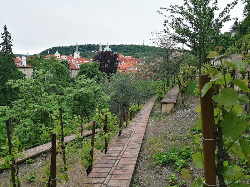 Riegrovy sady - Riegrovy sady Riegrovy sady, 120 00 Praha 2-Vinohrady, Czechia