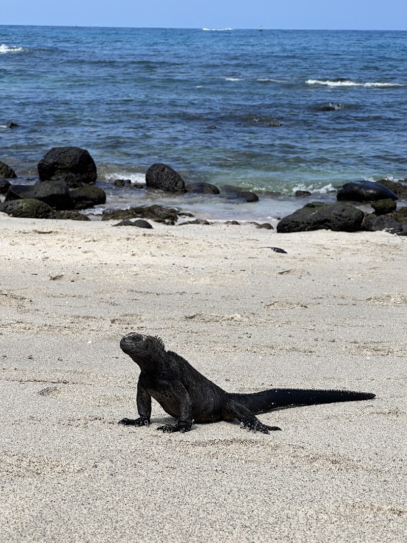 Point Carola Beach - Point Carola Beach, Ecuador
