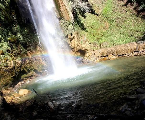 Tiger Fall