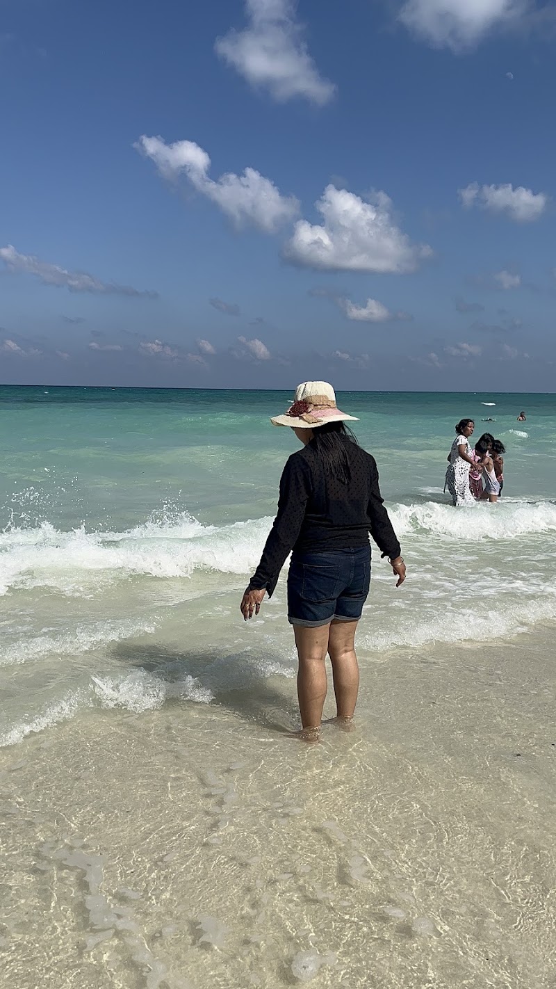 Kala Pathar Beach - Kala Pathar Beach Kala Pathar Beach, Andaman and Nicobar Islands 744211, India
