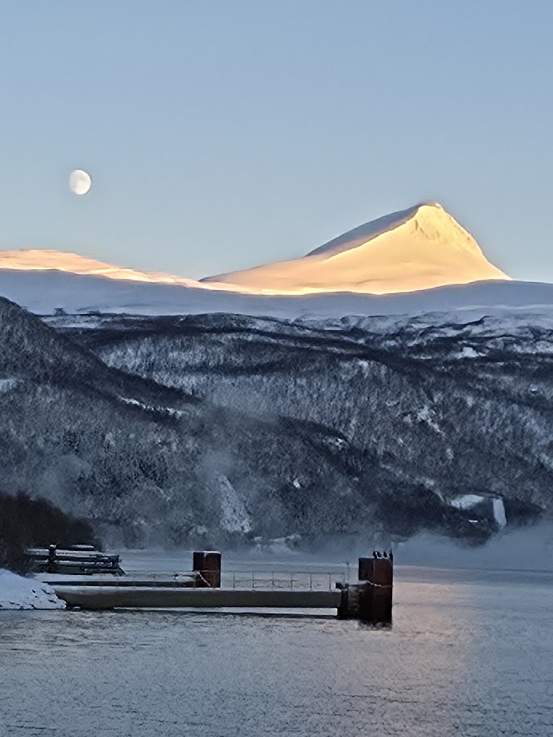 Polar Adventures Tromso - Northern Lights - Polar Adventures Tromso - Northern Lights Front Pier, Killengreens gate 7-11, 9008 Tromsø, Norway