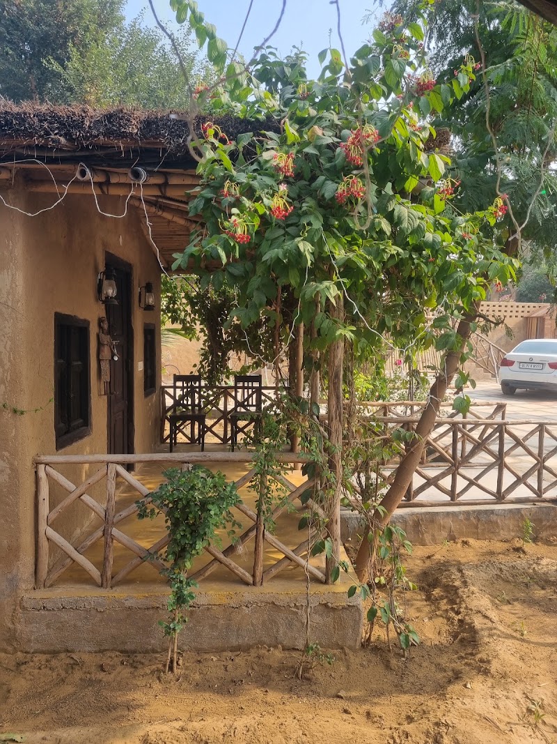 Rural Sense Organic Farm