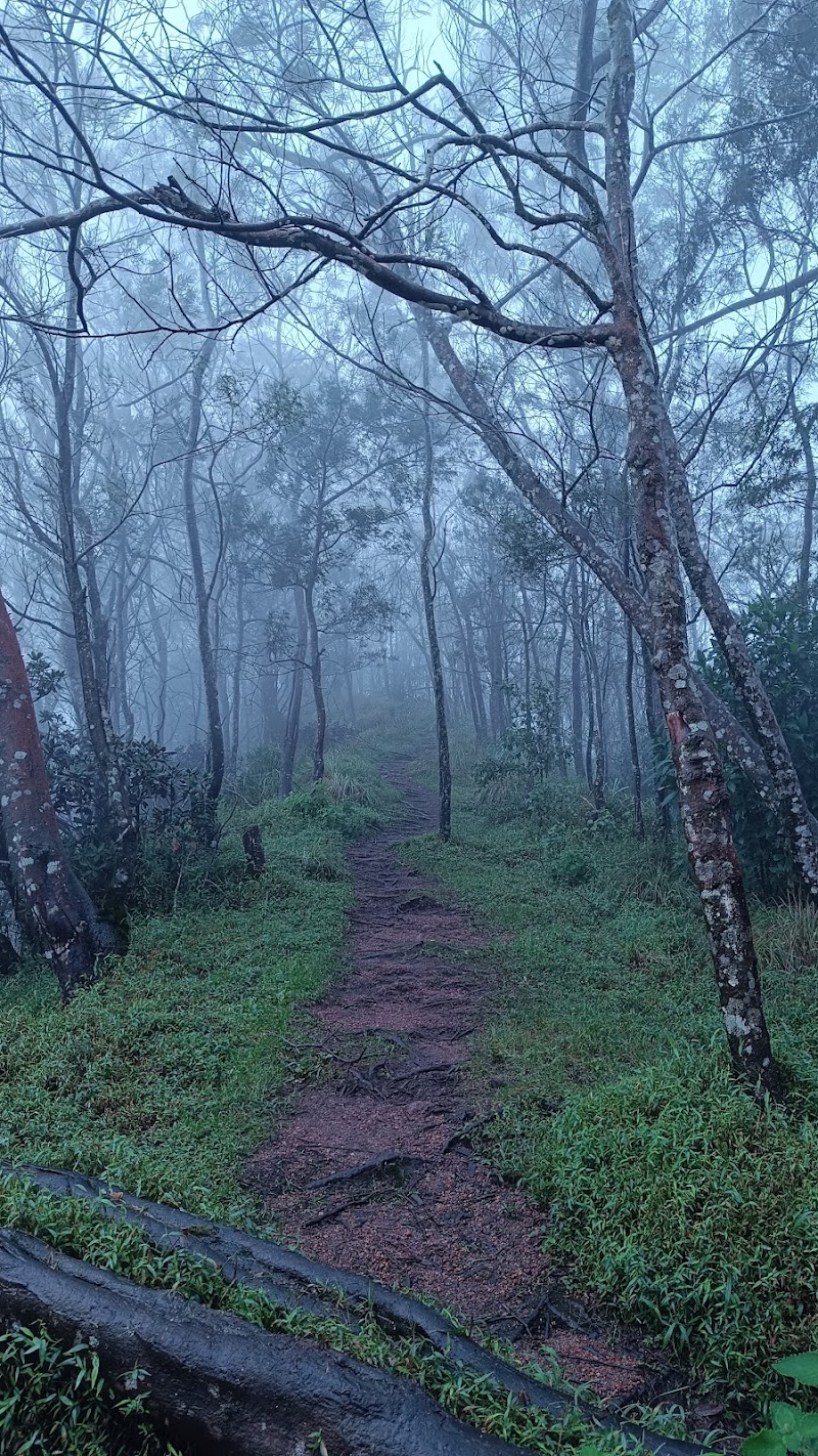 Suryanelli Kolukkumalai Road - Suryanelli Kolukkumalai Road 27C5+WC, Bodi Hill North, Tamil Nadu 685618, India