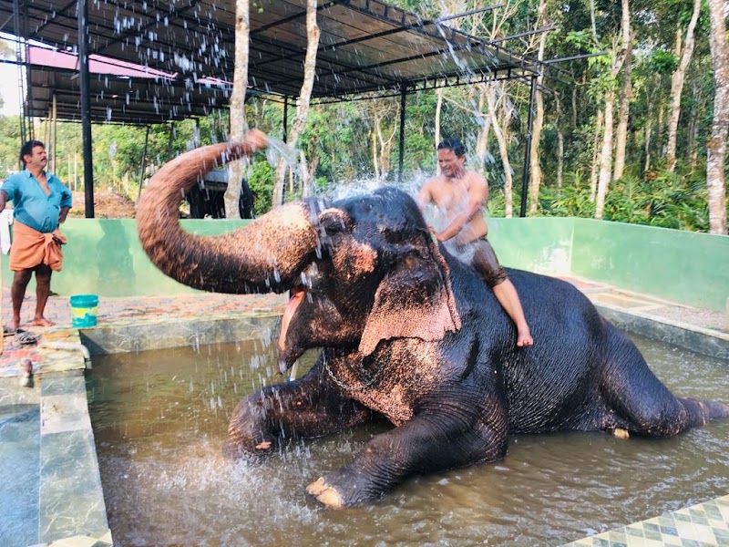 Elephant Junction Thekkady - Elephant Junction Thekkady, Murukkady P.O., Thekkady, Thekkady, Kumily, Kerala 685535, India