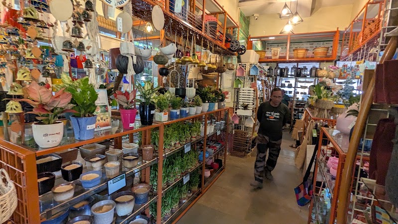 Go Green Nursery Pvt Ltd - Go Green Nursery Pvt Ltd Tara (Karnala), Post: Barapada, Mumbai - Goa Highway, Near Yusuf Meherally Centre, Taluka:, 410 206, NH 66, Panvel, Districty:, Karnala, Maharashtra 410221, India