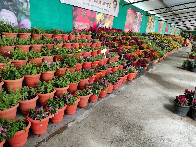 Yercaud - Yercaud Q6P6+3RJ, Yercaud, Tamil Nadu 636602, India