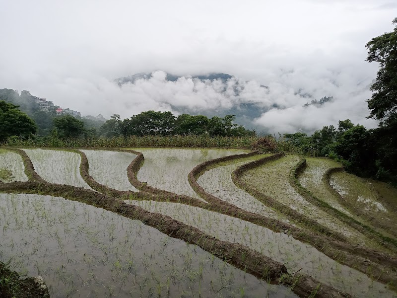 Tadong - Tadong Tadong, Gangtok, Sikkim 737102, India