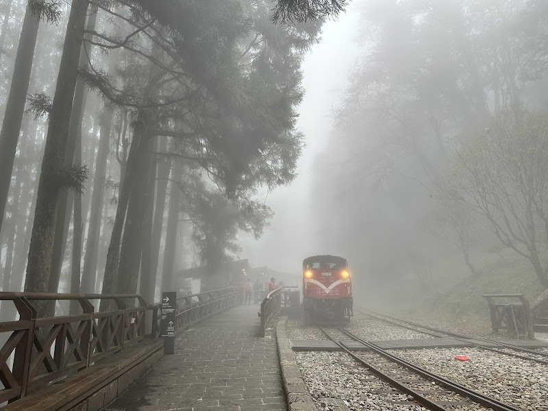 神怡流瀑 - 神怡流瀑 605, Taiwan, Chiayi County, Alishan Township, Zhongshan Village, 23°31'07. 120°48'23號
