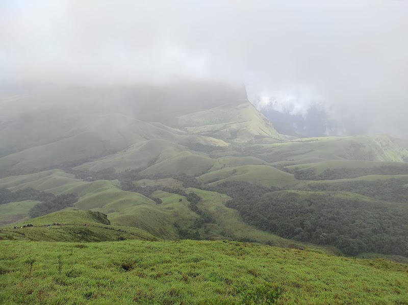 GREEN LAND Home Stay (Pure Veg) - GREEN LAND Home Stay (Pure Veg), Balgal Kudremukh, Trekking Road, Samse, Karnataka 577124, India