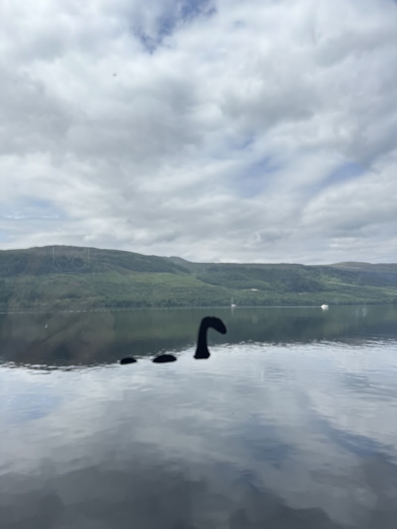 Cruise Loch Ness - Cruise Loch Ness Caledonian Canal, Fort Augustus PH32 4BD, UK