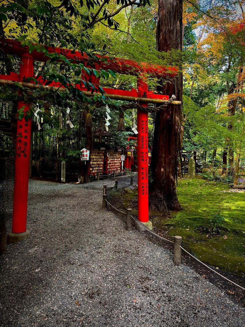Arashiyama Bamboo Forest - Arashiyama Bamboo Forest Sagaogurayama Tabuchiyamacho, Ukyo Ward, Kyoto, 616-8394, Japan