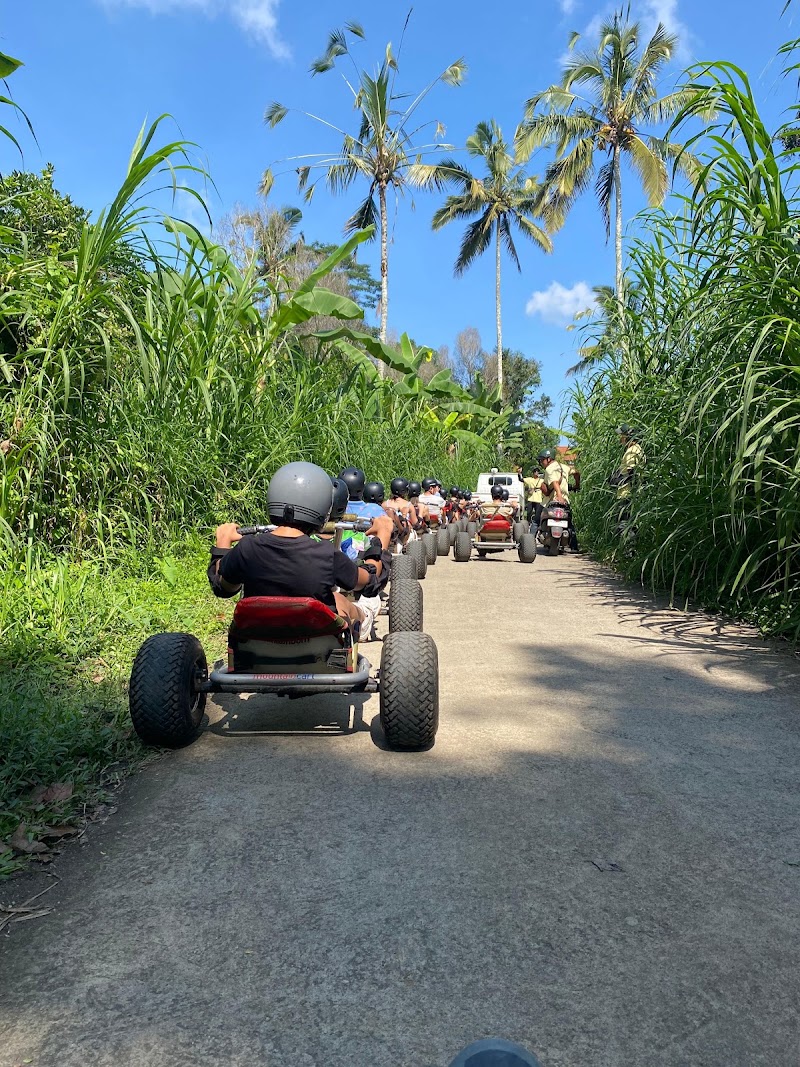 Jungle Cart Office - Jungle Cart Office, Jl. Raya Lungsiakan, Kedewatan, Kecamatan Ubud, Kabupaten Gianyar, Bali 80571, Indonesia