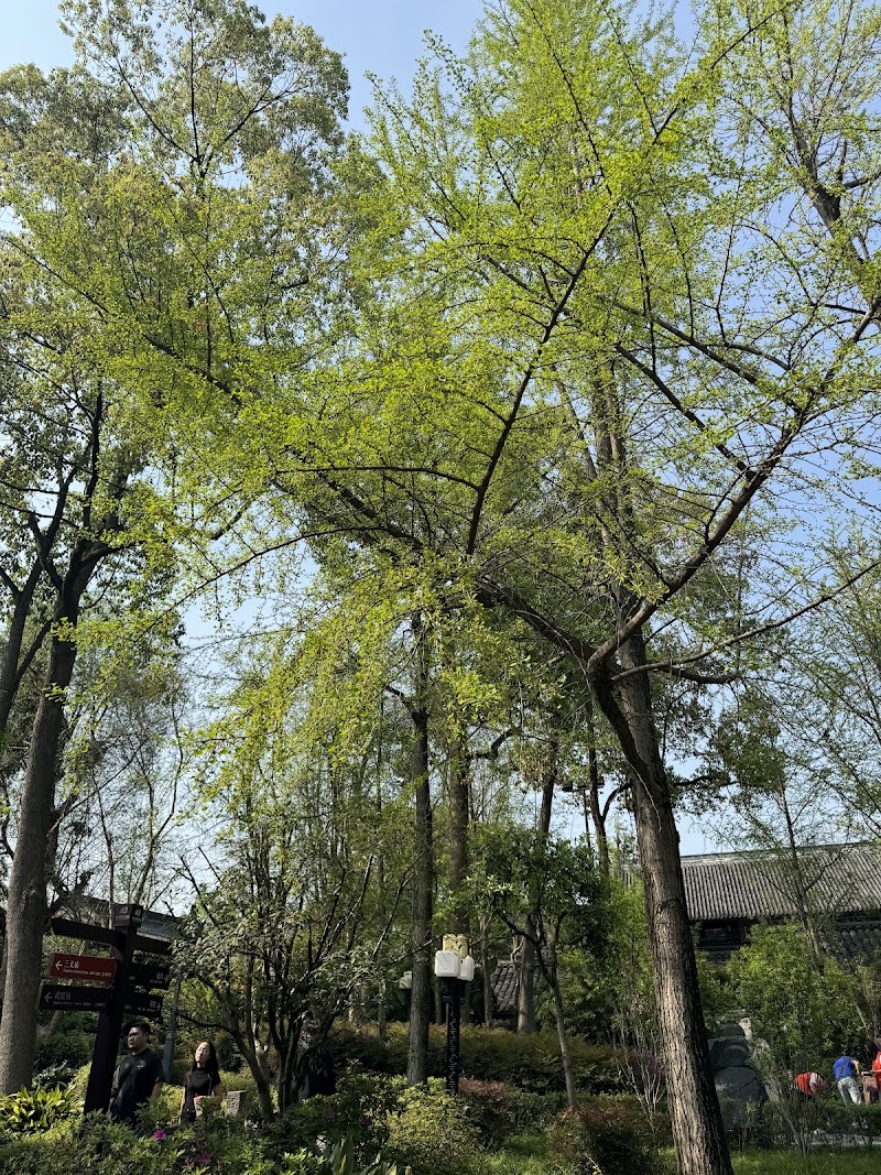 Chengdu Wu Hou Shrine （Southwest Gate） - Chengdu Wu Hou Shrine （Southwest Gate）, China, Si Chuan Sheng, Cheng Du Shi, Wu Hou Qu, Gaosheng Bridge, Ti Yuan Lu, 体院路 邮政编码: 610093