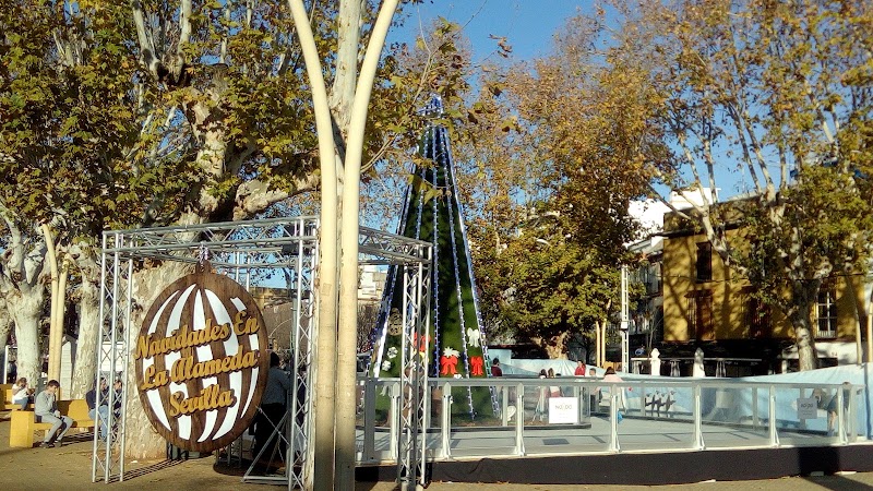 Alameda de Hércules - Alameda de Hércules Alameda de Hércules, s/n, Casco Antiguo, 41002 Sevilla, Spain