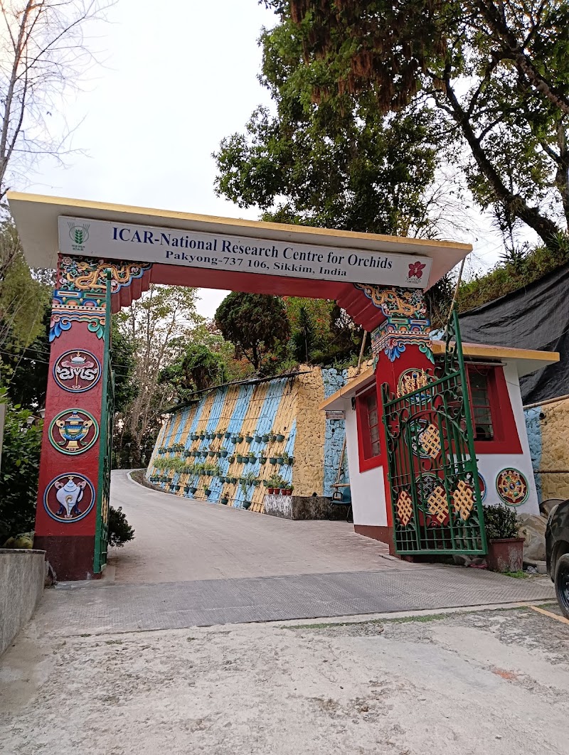 ICAR - National Research Centre for Orchids - ICAR - National Research Centre for Orchids 6HJR+H3V, Dikling Rd, Pakyong, Sikkim 737106, India