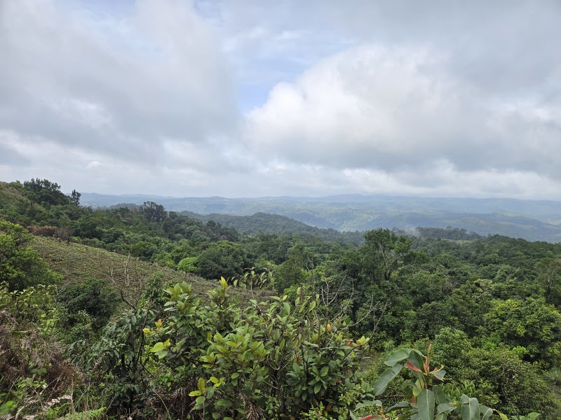 Mandalpatti Peak - Mandalpatti Peak GPCC+87R, Kalur, Karnataka 571202, India