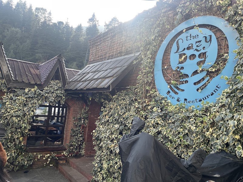 𝗧𝗵𝗲 𝗟𝗮𝘇𝘆 𝗗𝗼𝗴 | Best Restaurant in Manali | Bar & Grill on Manu Temple Road - 𝗧𝗵𝗲 𝗟𝗮𝘇𝘆 𝗗𝗼𝗴 | Best Restaurant in Manali | Bar & Grill on Manu Temple Road Manu Temple Rd, Old Manali, Manali, Himachal Pradesh 175131, India