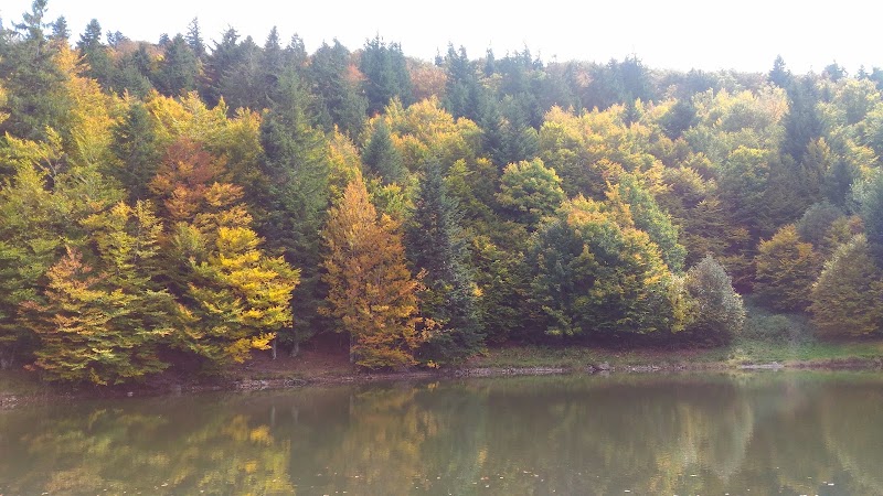 Source of the Moselle - Source of the Moselle, Rte des Sources, 88540 Bussang, France