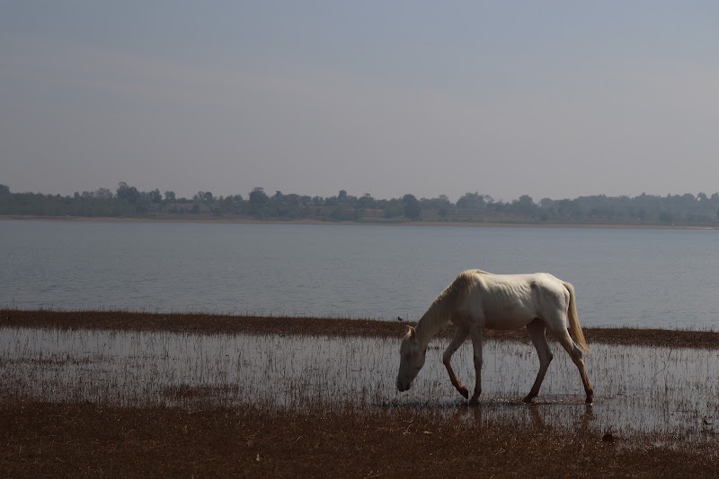 Kabini Backwaters - Kabini Backwaters X876+W9, Sogalli, Karnataka 571116, India