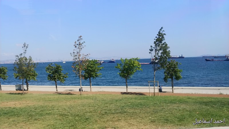 Hg Denizcilik Ve Gemi Acenteliği Hizmetleri A.Ş - Hg Denizcilik Ve Gemi Acenteliği Hizmetleri A.Ş, Sahil Kennedy Caddesi Liman Sokak Zeyport Liman İşletmeleri Ofis No :11, Kazlıçeşme, 34025 Zeytinburnu/İstanbul, Türkiye
