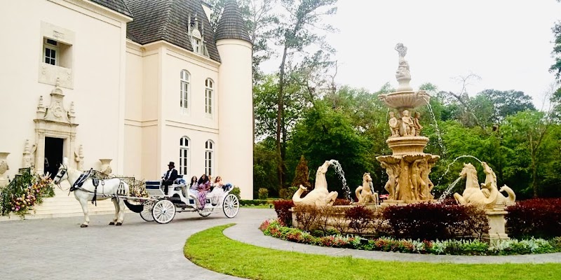 Vintage Carriage Company, LLC - Vintage Carriage Company, LLC 8013 Willow St, Houston, TX 77088, USA