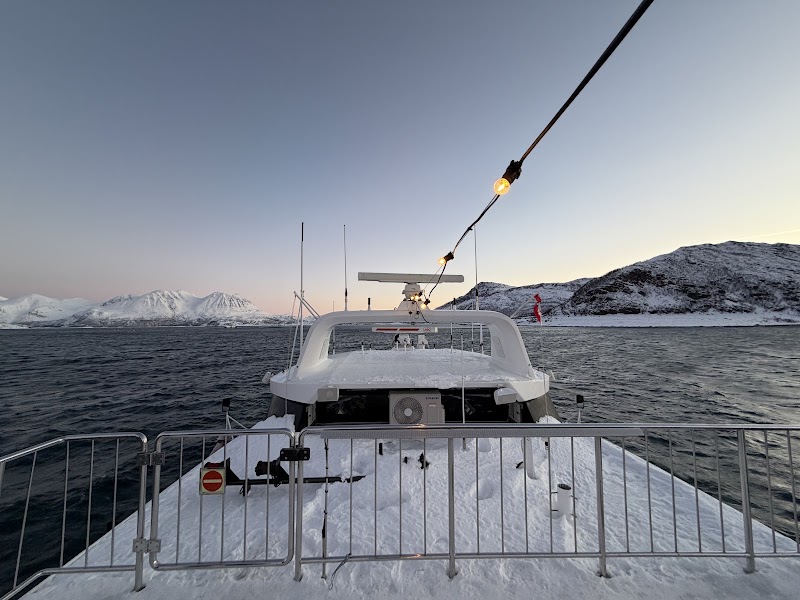 Rødne Fjord Cruise whale safari and Northern Lights cruise - Rødne Fjord Cruise whale safari and Northern Lights cruise Nerstranda, 4008 Tromsø, Norway