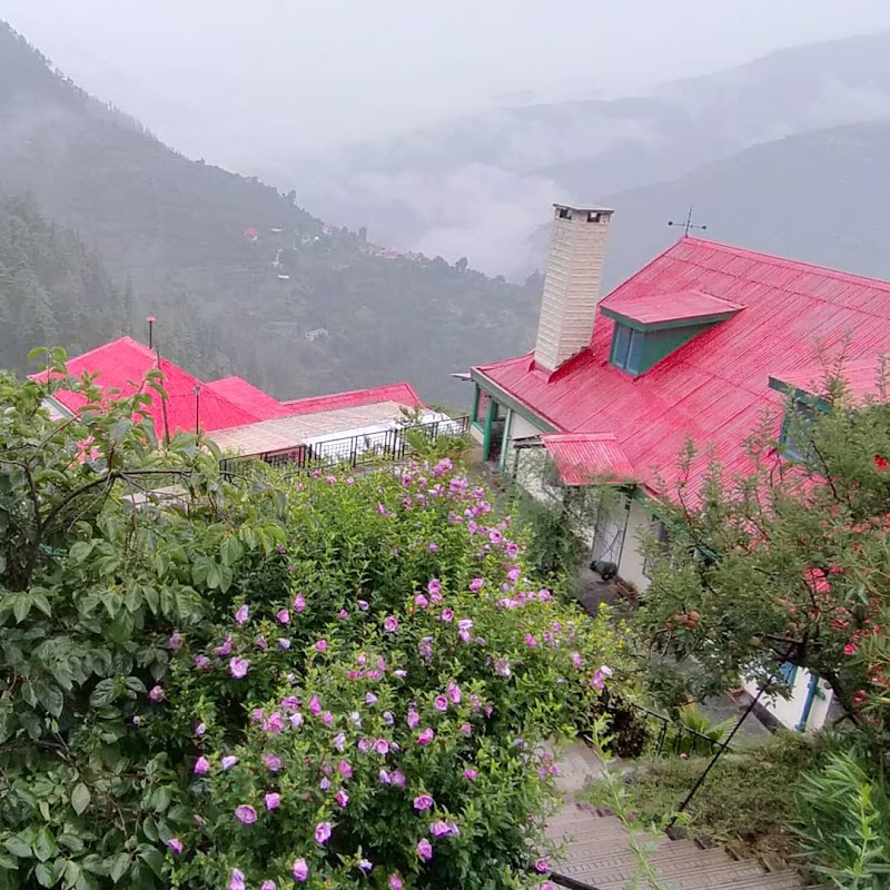 Himalayan Orchard