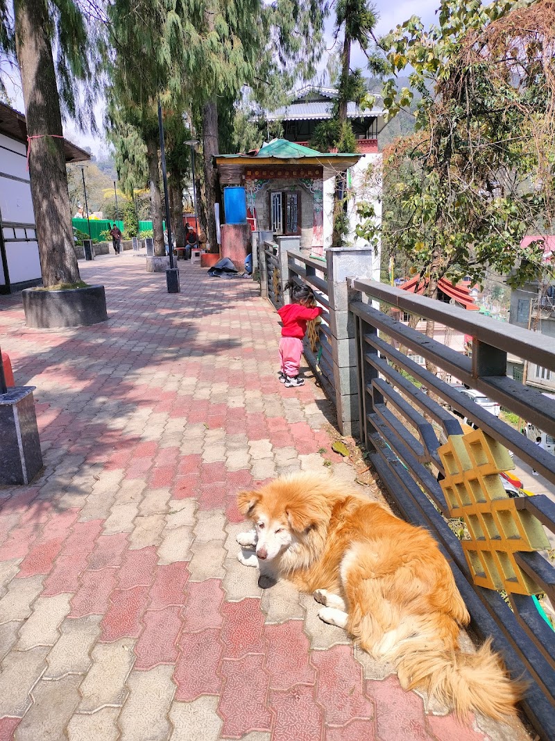 The Ridge - The Ridge 8JH8+WC7, Ridge Rd, Tathangchen Area, Gangtok, Sikkim 737103, India