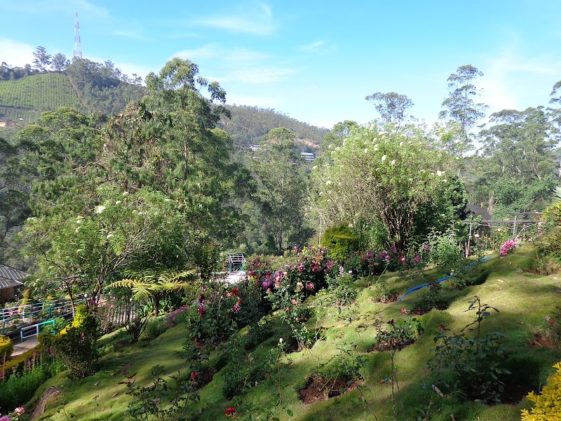 Munnar views - Munnar views 33Q5+HRC, Munnar - Udumalpet Rd, Nullatanni, Munnar, Kerala 685612, India