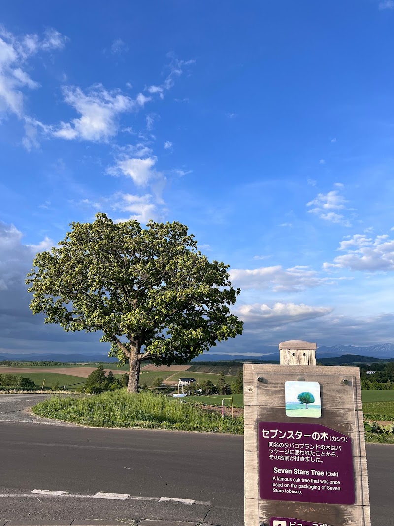 Patchwork Road (Biei) - Patchwork Road (Biei) 北海道上川郡美瑛町大久保協生, Asahi, Biei, Kamikawa District, Hokkaido 071-0216, Japan