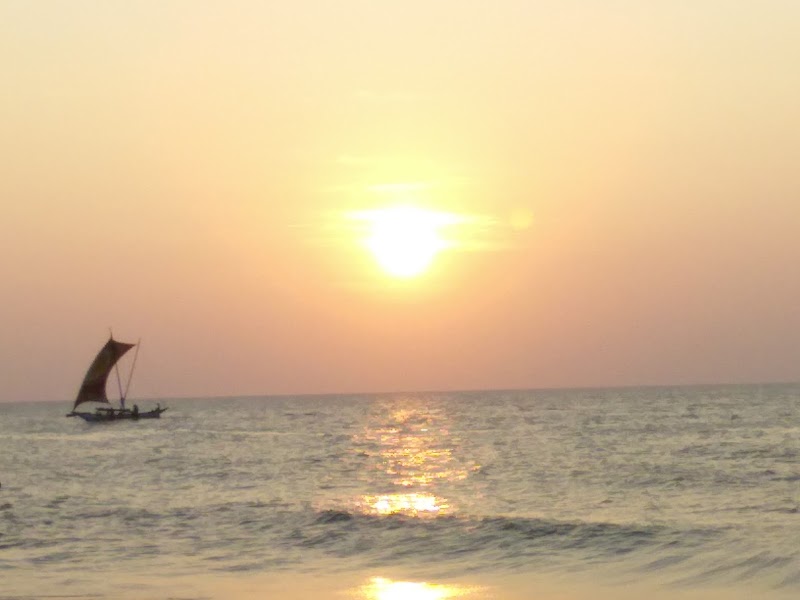 Browns Beach, Negombo - Browns Beach, Negombo, 63 Porutota Rd, Negombo 11500, Sri Lanka