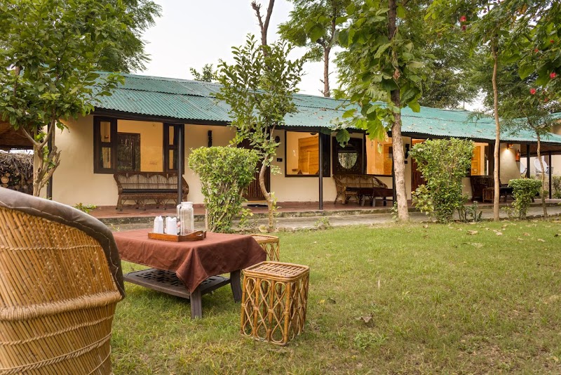 Ashoka Tiger Trail - Ashoka Tiger Trail Ramnagar, Dhela, Uttarakhand 244715, India