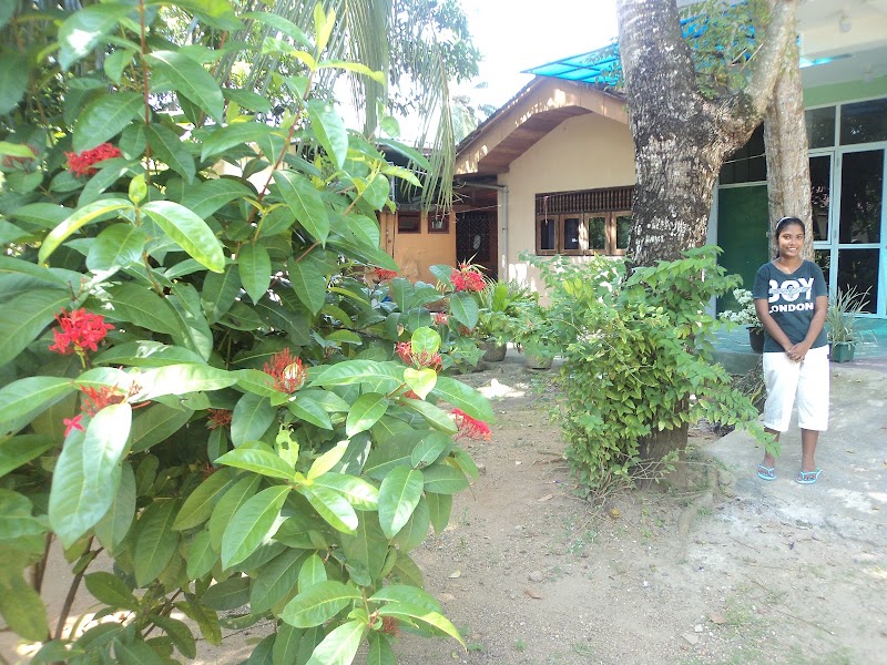 Sheru Guest - (Foreigners only) - Sheru Guest - (Foreigners only), No 59/B Paramulla Cross Rd, Matara, Sri Lanka