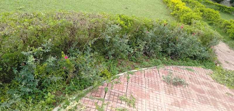 Sunder Nagar Park 1 - Sunder Nagar Park 1, 69C4+MCR, Sunder Nagar, Bhilai, Chhattisgarh 490026, India