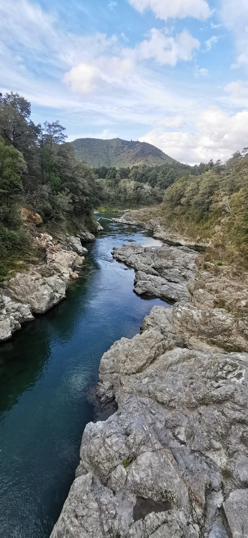 Te Hoiere / Pelorus River